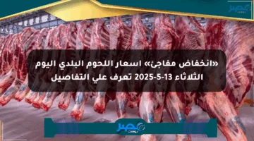 «انخفاض مفاجئ» أسعار اللحوم البلدي اليوم الثلاثاء 13-5-2025 تعرف على التفاصيل